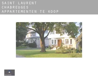 Saint-Laurent-Chabreuges  appartementen te koop
