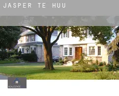Jasper te huur