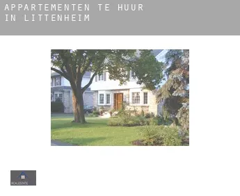 Appartementen te huur in  Littenheim