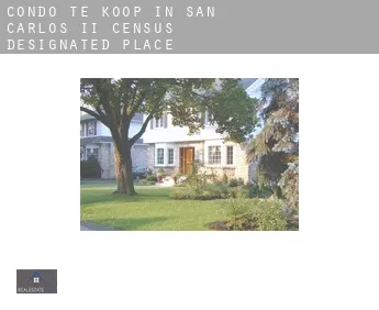 Condo te koop in  San Carlos II