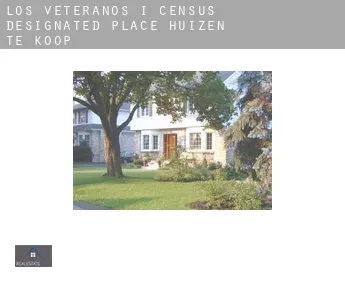 Los Veteranos I  huizen te koop