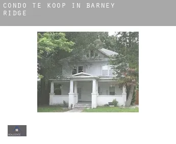 Condo te koop in  Barney Ridge