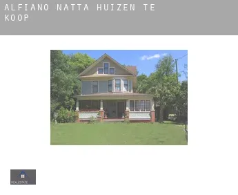 Alfiano Natta  huizen te koop