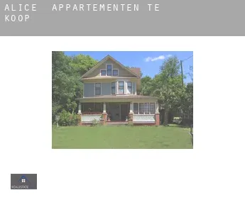 Alice  appartementen te koop