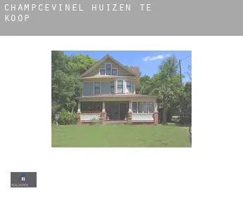 Champcevinel  huizen te koop