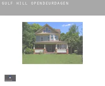 Gulf Hill  opendeurdagen