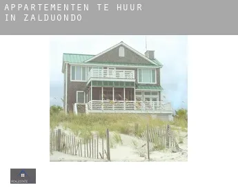 Appartementen te huur in  Zalduondo