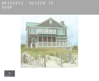 Brickeys  huizen te koop
