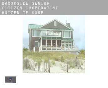 Brookside Senior Citizen Cooperative  huizen te koop