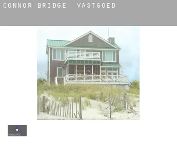 Connor Bridge  vastgoed