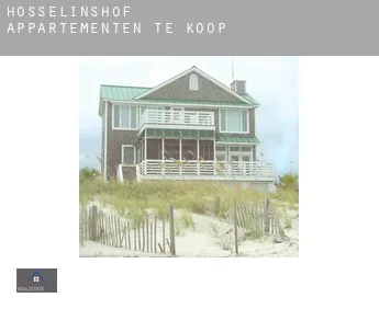 Hösselinshof  appartementen te koop