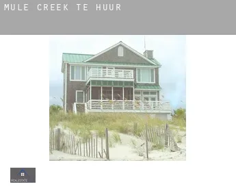 Mule Creek  te huur