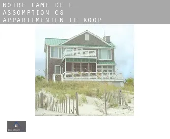 Notre-Dame-de-l'Assomption (census area)  appartementen te koop