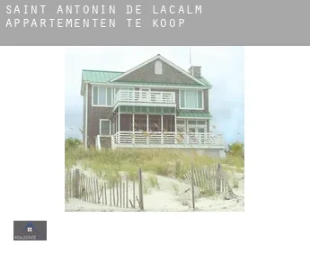Saint-Antonin-de-Lacalm  appartementen te koop