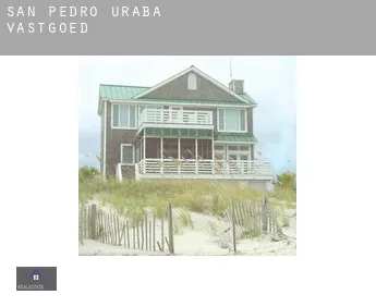 San Pedro de Urabá  vastgoed