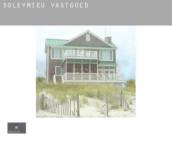 Soleymieu  vastgoed