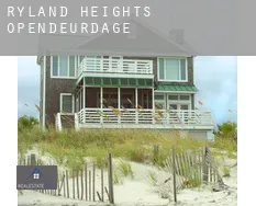 Ryland Heights opendeurdagen