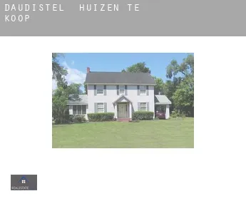 Daudistel  huizen te koop