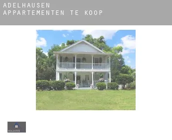 Adelhausen  appartementen te koop