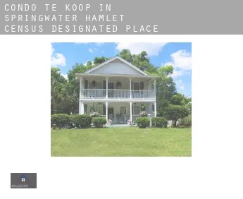 Condo te koop in  Springwater Hamlet