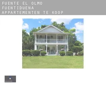 Fuente el Olmo de Fuentidueña  appartementen te koop