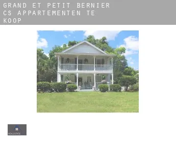 Grand-et-Petit-Bernier (census area)  appartementen te koop