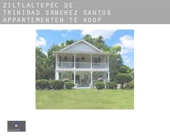 Ziltlaltepec de Trinidad Sanchez Santos  appartementen te koop