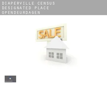 Diaperville  opendeurdagen