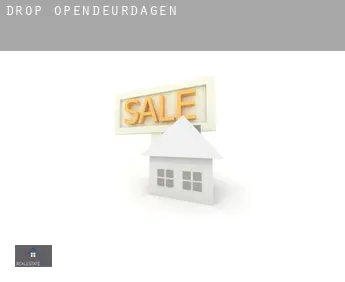 Drop  opendeurdagen