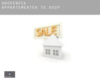Gooseneck  appartementen te koop