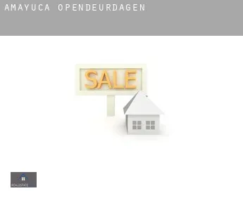 Amayuca  opendeurdagen