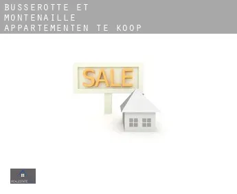 Busserotte-et-Montenaille  appartementen te koop