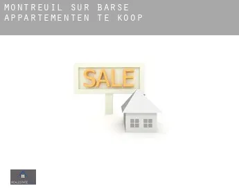 Montreuil-sur-Barse  appartementen te koop
