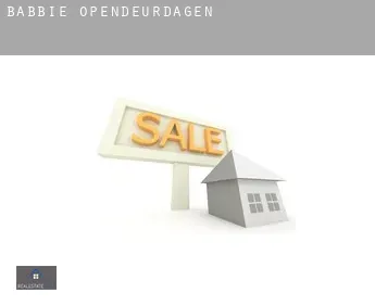 Babbie  opendeurdagen