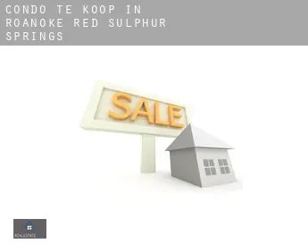 Condo te koop in  Roanoke Red Sulphur Springs