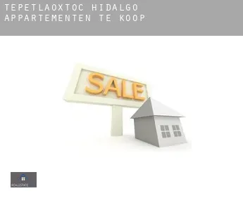 Tepetlaoxtoc de Hidalgo  appartementen te koop