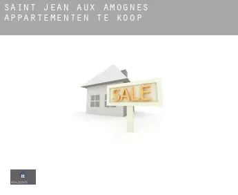 Saint-Jean-aux-Amognes  appartementen te koop