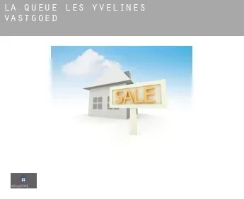 La Queue-les-Yvelines  vastgoed