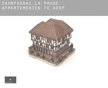Champagnac-la-Prune  appartementen te koop