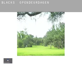 Blacks  opendeurdagen