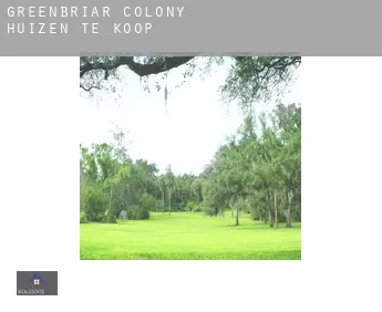 Greenbriar Colony  huizen te koop