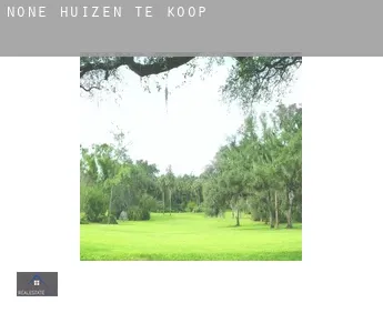 None  huizen te koop