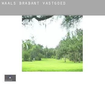 Waals-Brabant  vastgoed