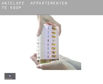 Antelope  appartementen te koop