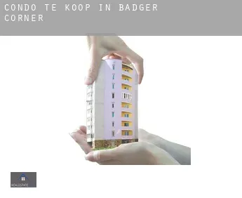 Condo te koop in  Badger Corner