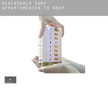 Schinznach Dorf  appartementen te koop