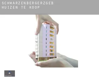 Schwarzenberg/Erzgeb.  huizen te koop