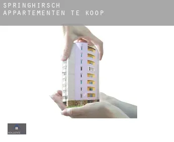 Springhirsch  appartementen te koop