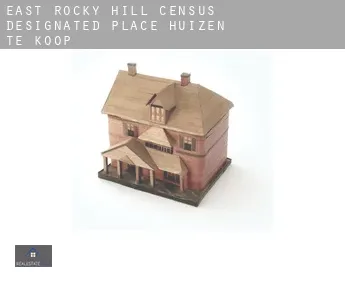 East Rocky Hill  huizen te koop
