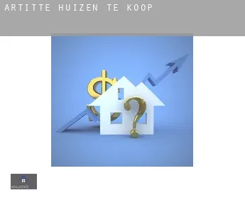 Artitte  huizen te koop